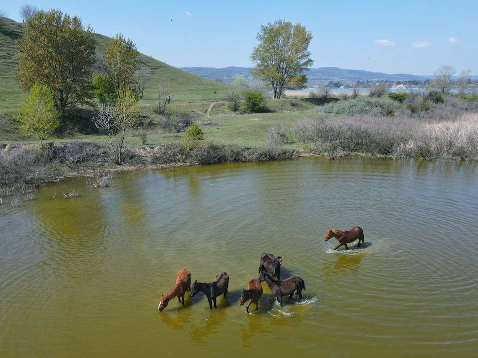 9896811981639717822452544798993853710675788425717623618934n1