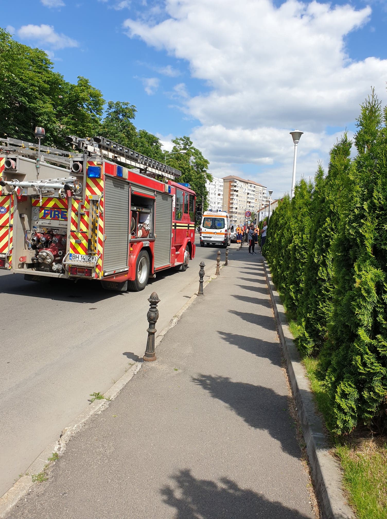 195508526_147742640724631_5213929982036831691_n