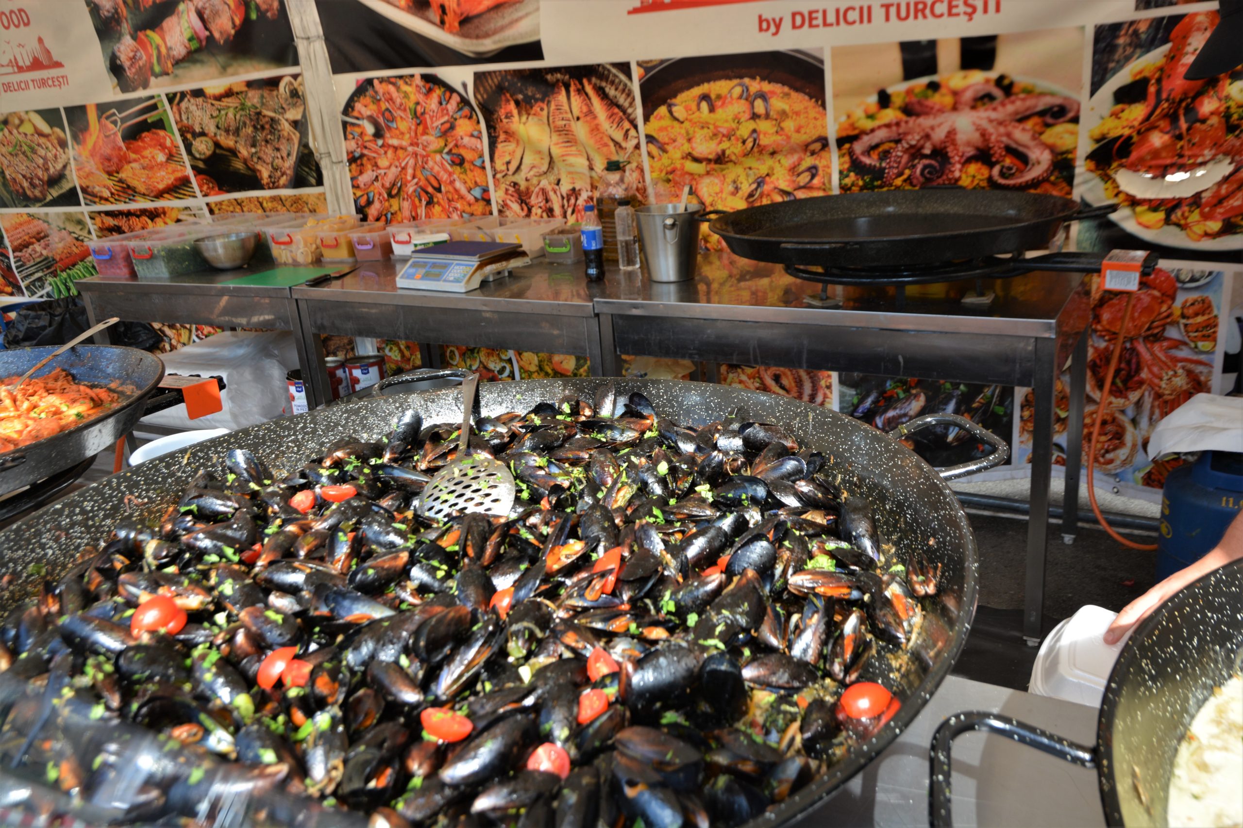 delicii turcesti (17)