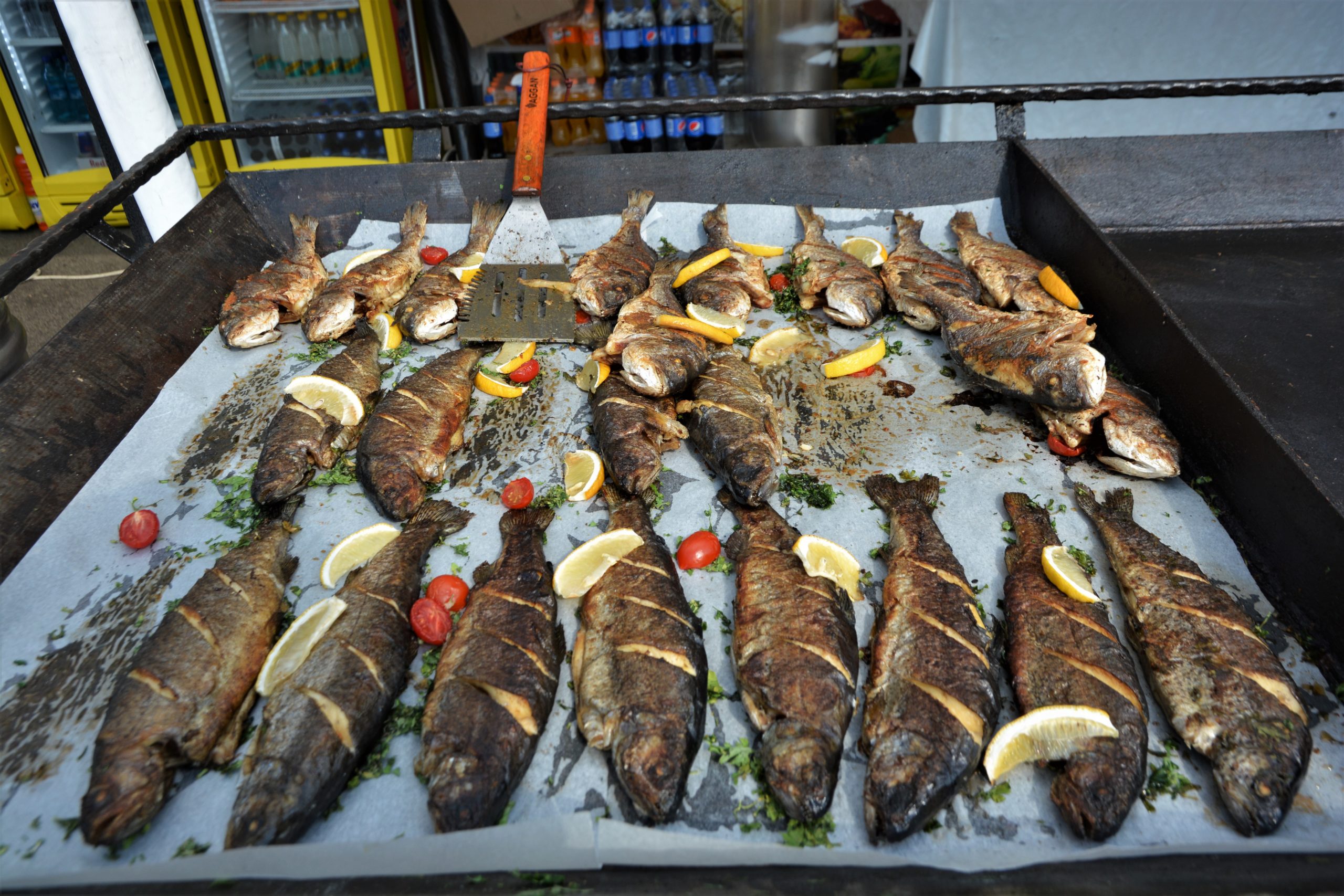 delicii turcesti (25)