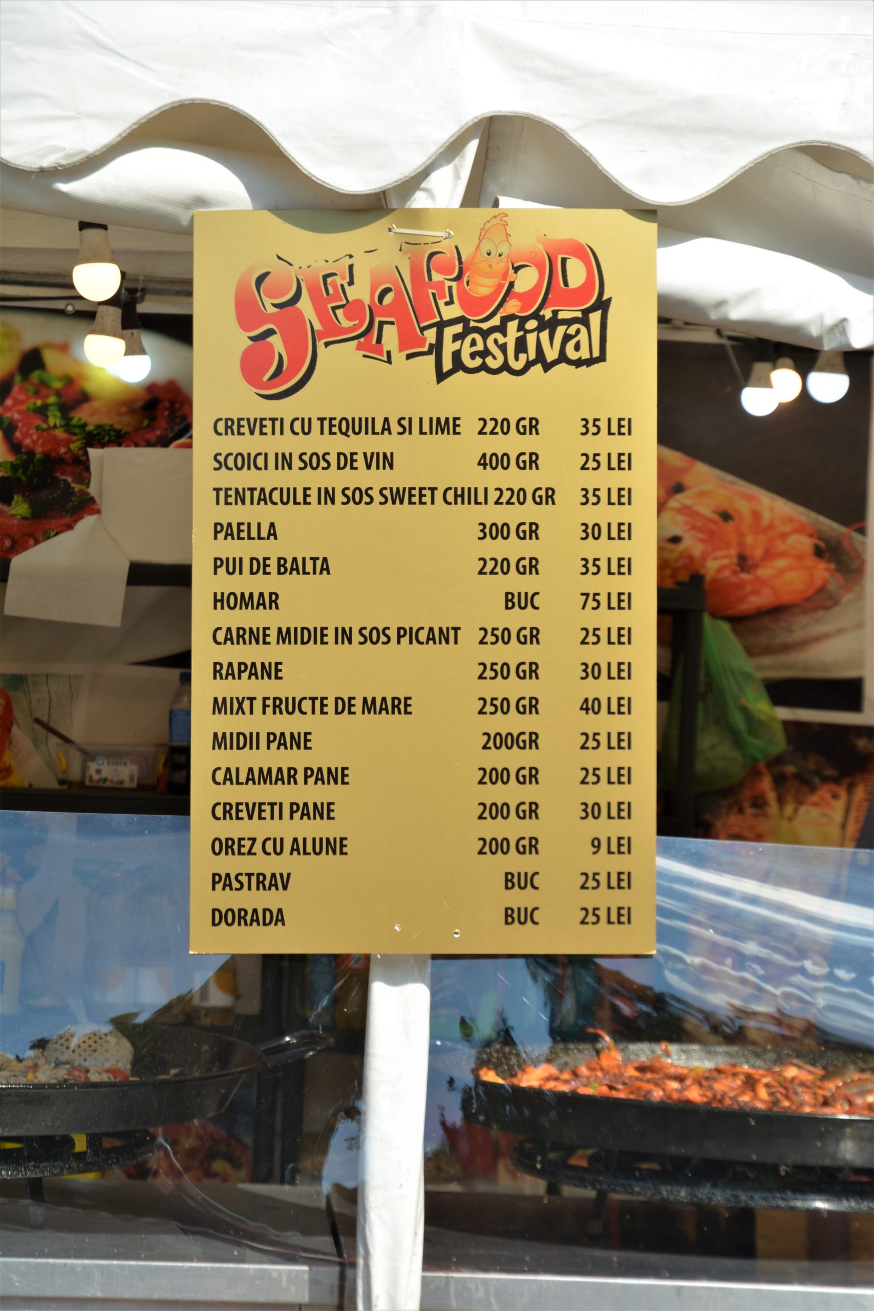 delicii turcesti (29)