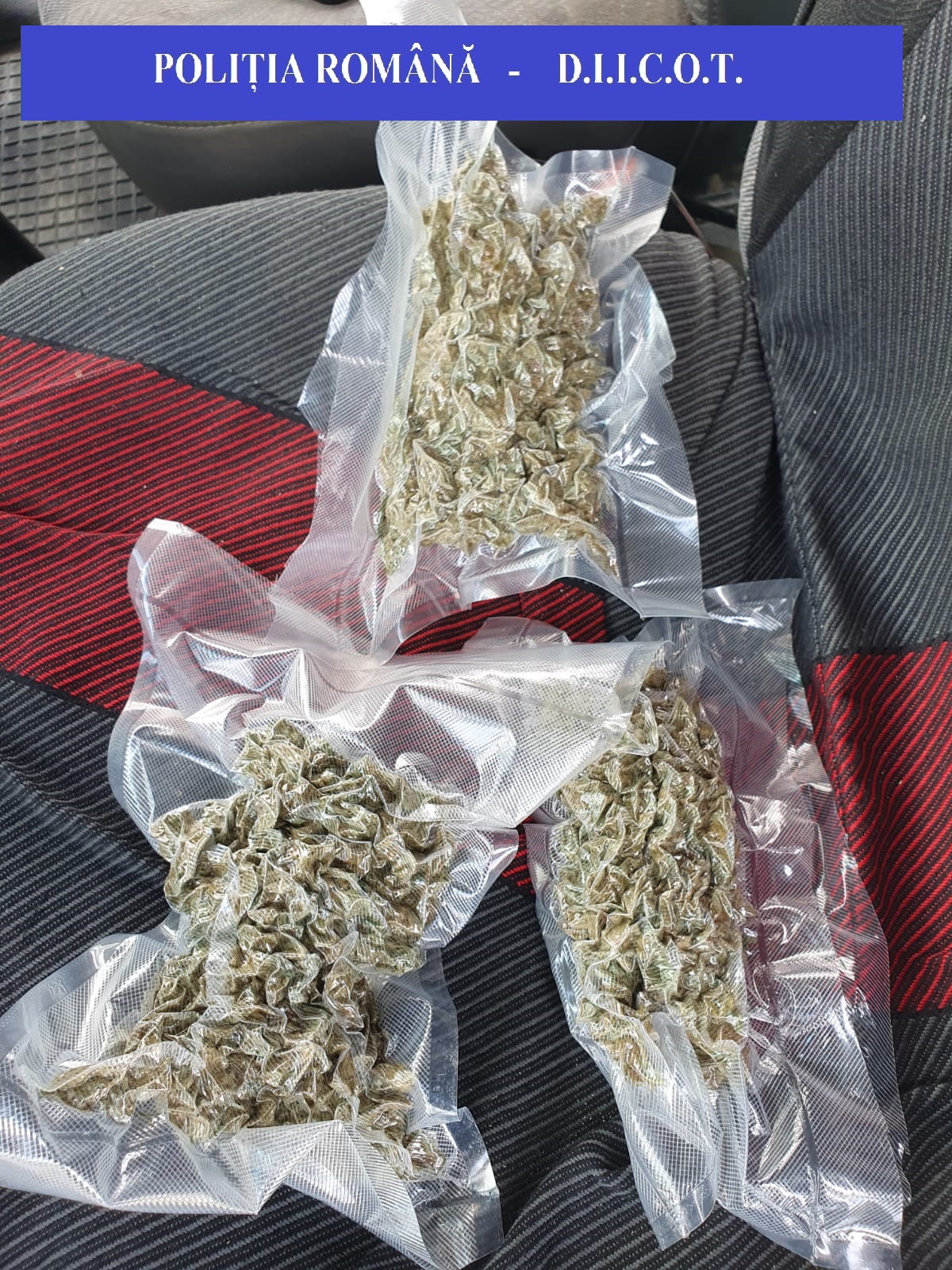 PHOTO-2021-06-11-10-20-36