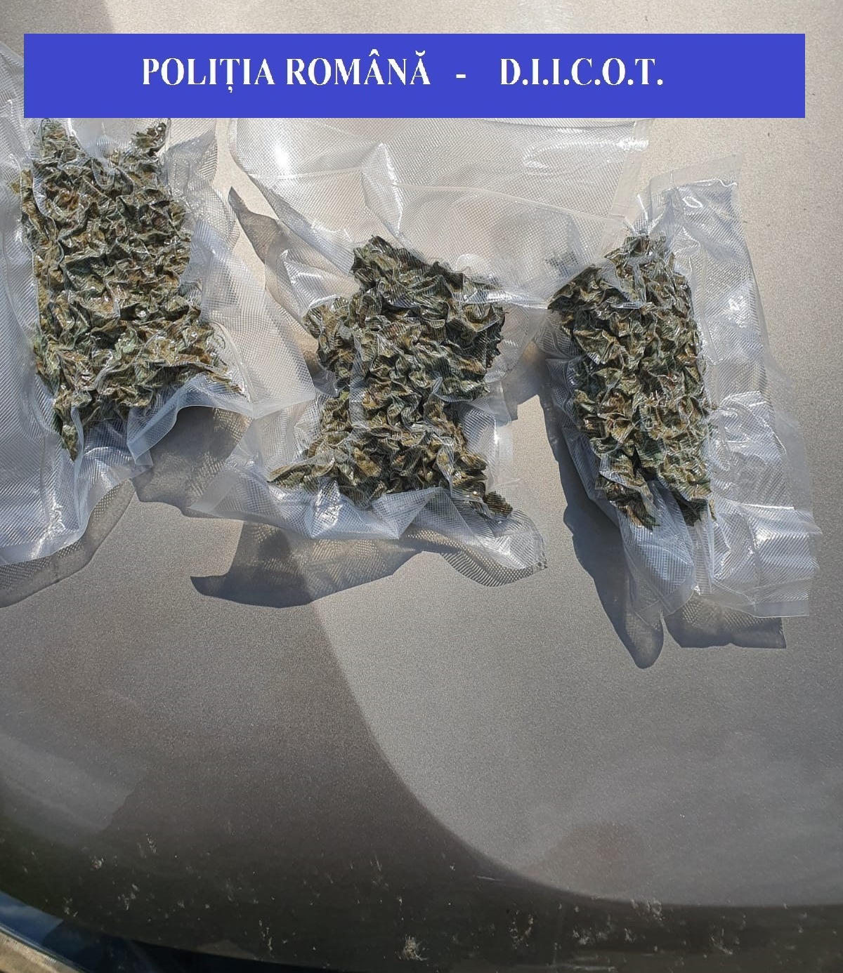 PHOTO-2021-06-11-10-20-36_1