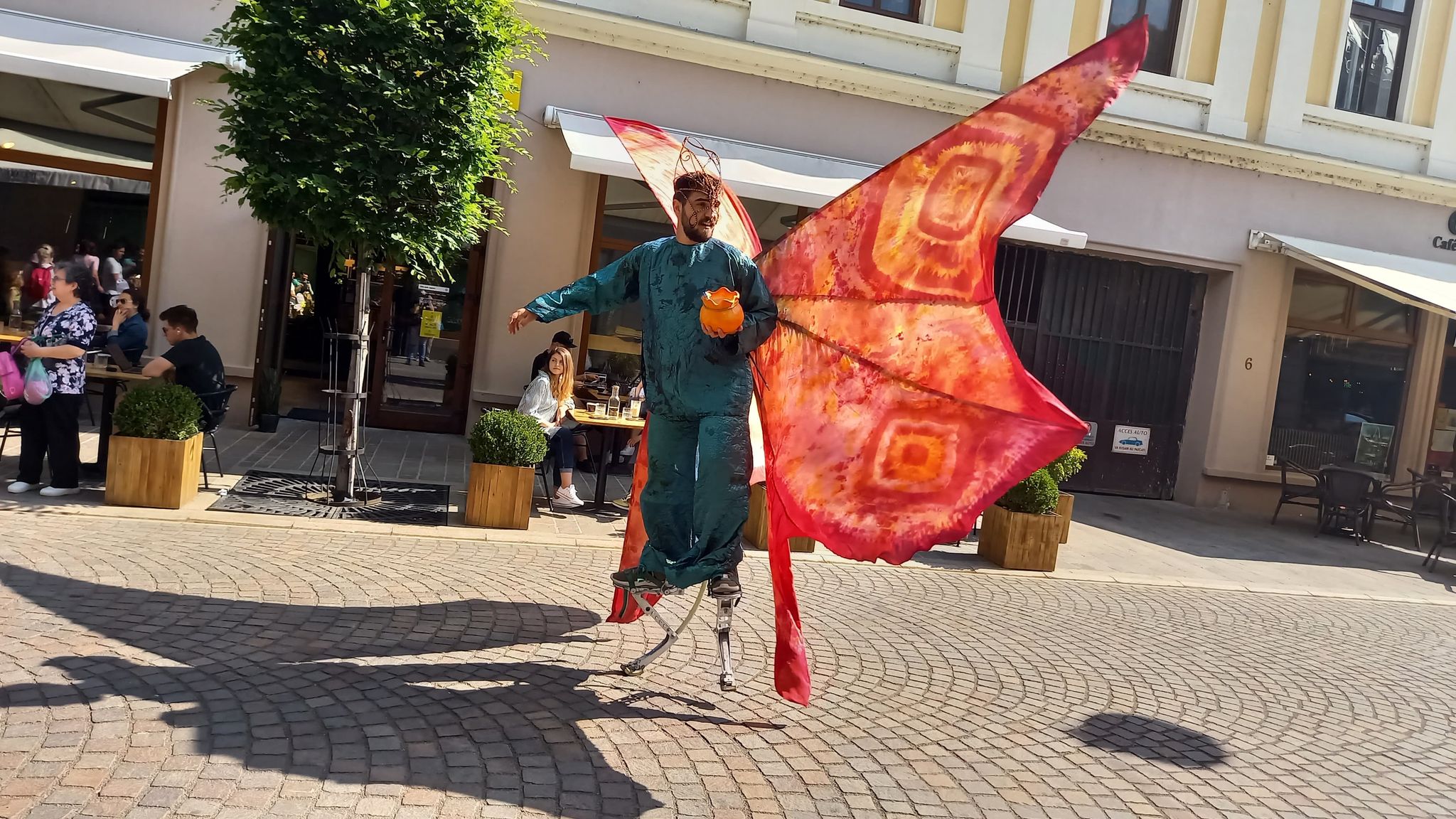 ziua art nouveau oradea (3)