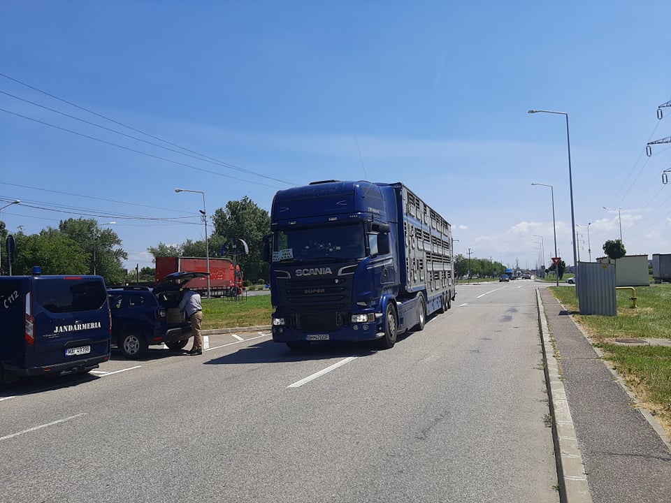protest transportatori oradea (8)