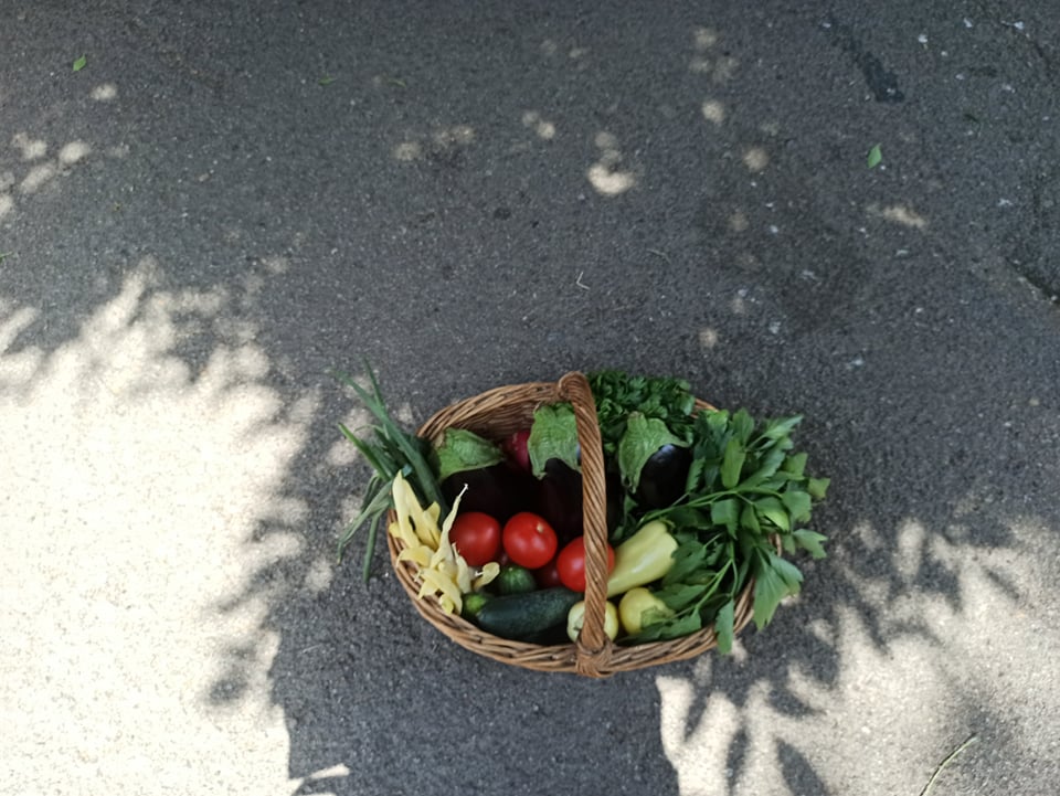 206245695_617158069259836_7130855241093842650_n