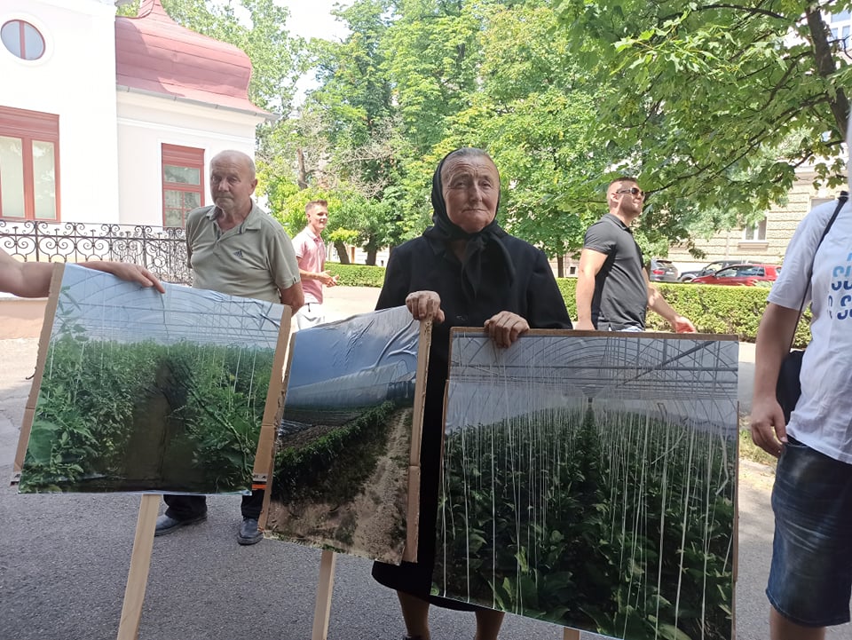 206729423_397172845009123_4234238874080738915_n