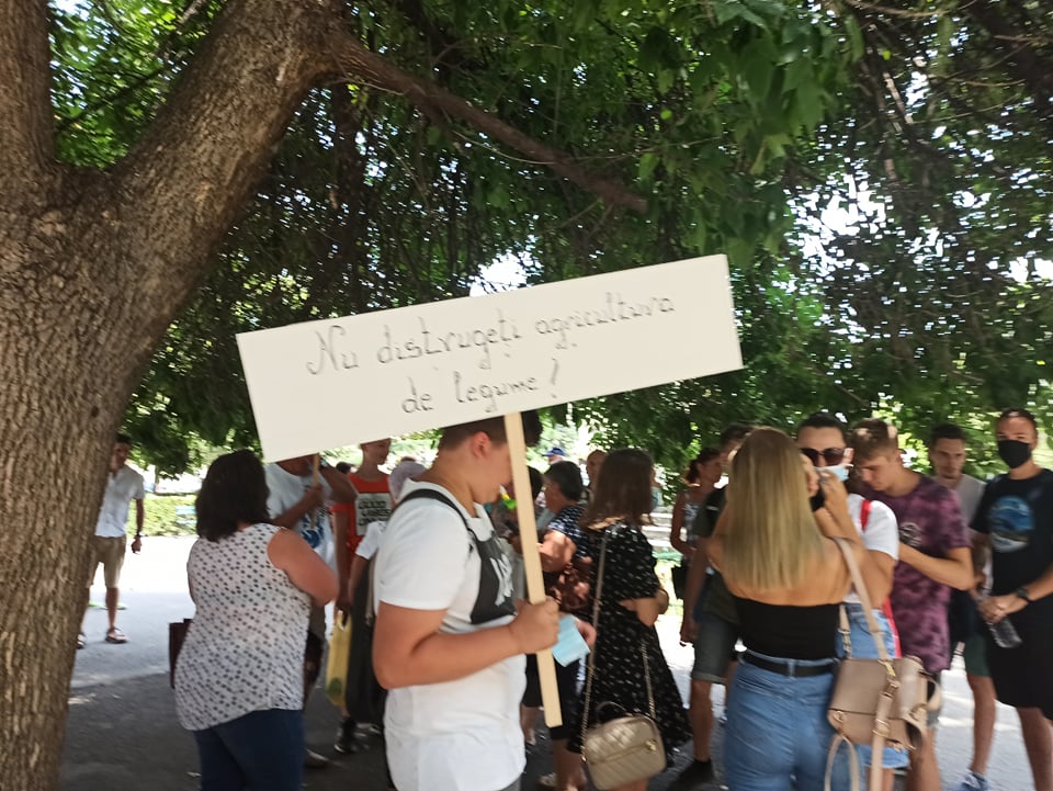 207502530_496624974745053_7101983597492860338_n