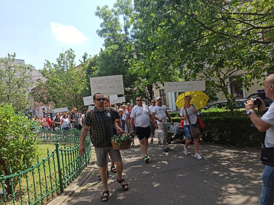 208525748_132182108991157_3348104922745767755_n