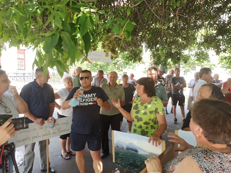 209864331_495580215065943_2948101030925432647_n