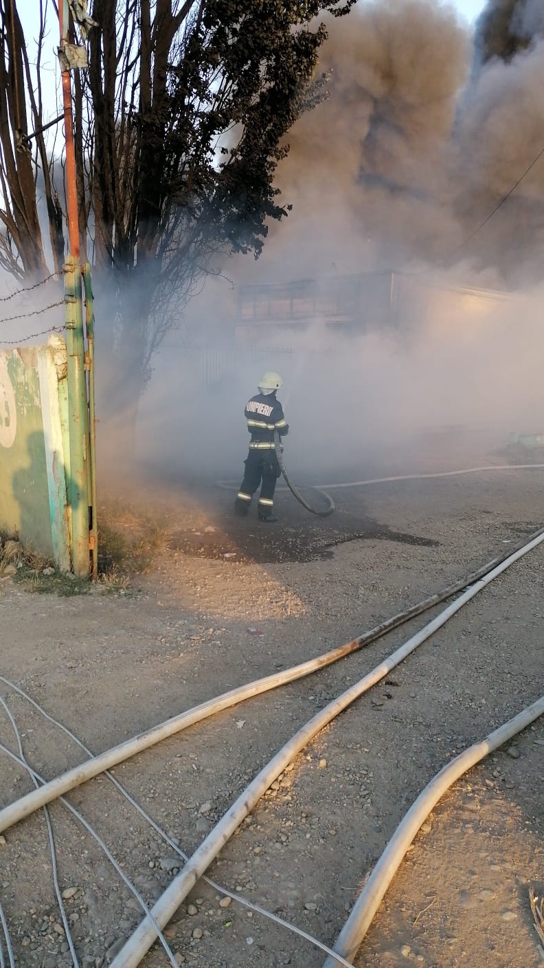 incendiu salonta (2)