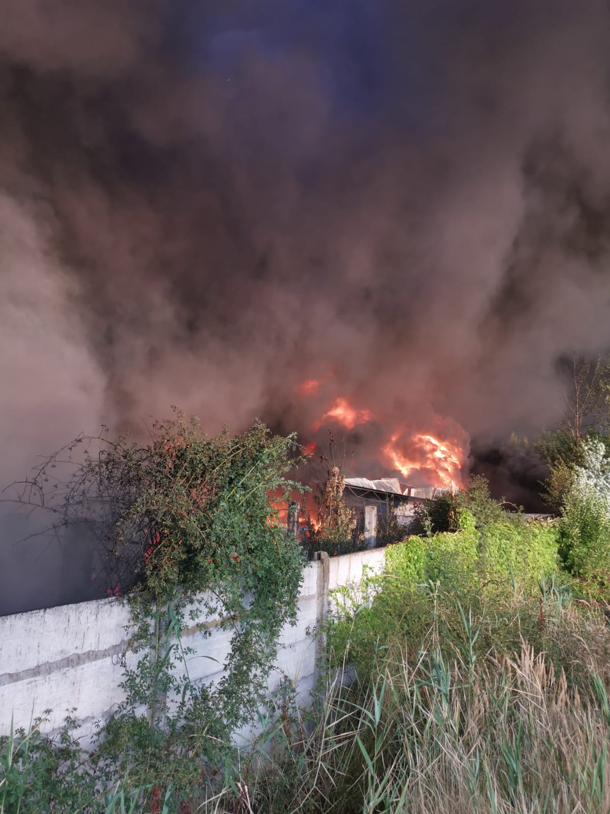 FOTO: Incendiu Salonta 09.07.2021