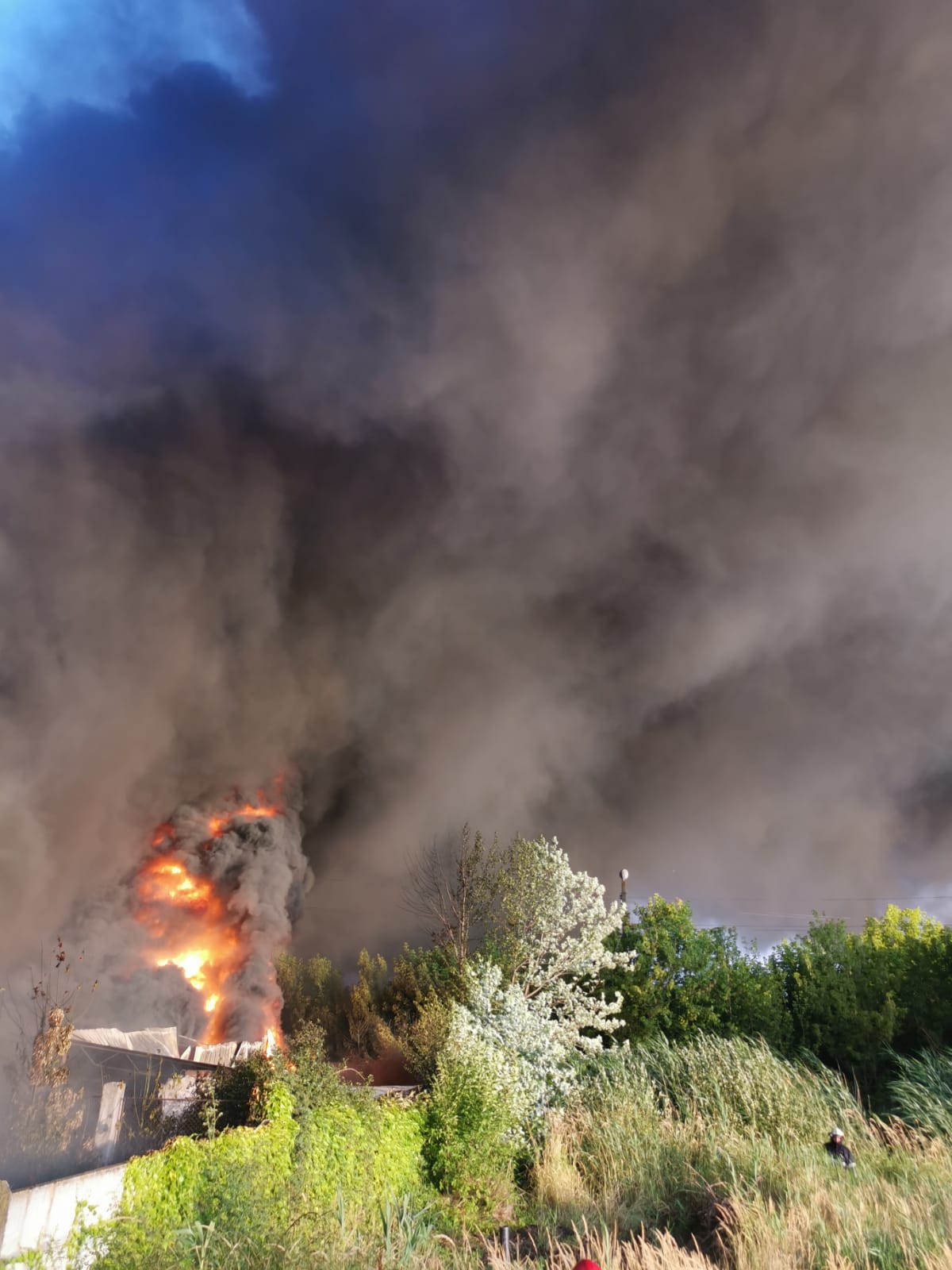 incendiu salonta (9)