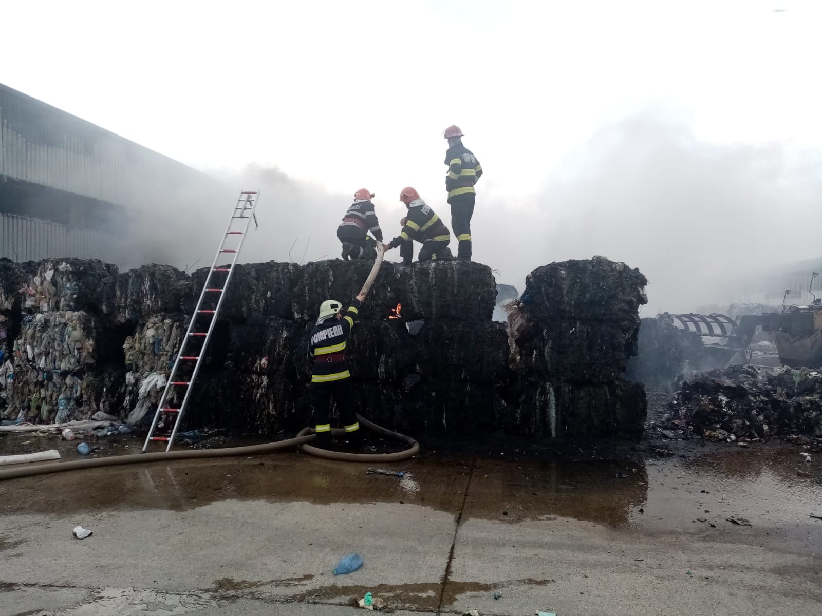 216426494_334609864887985_4115445486253712973_n