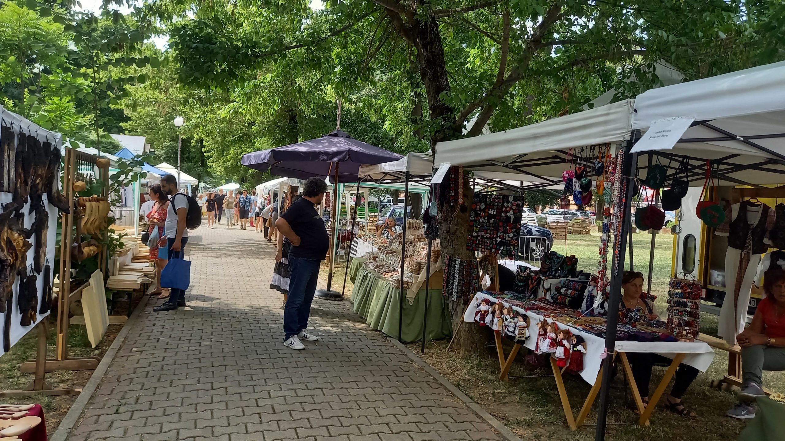 targul mesterilor populari oradea (22)