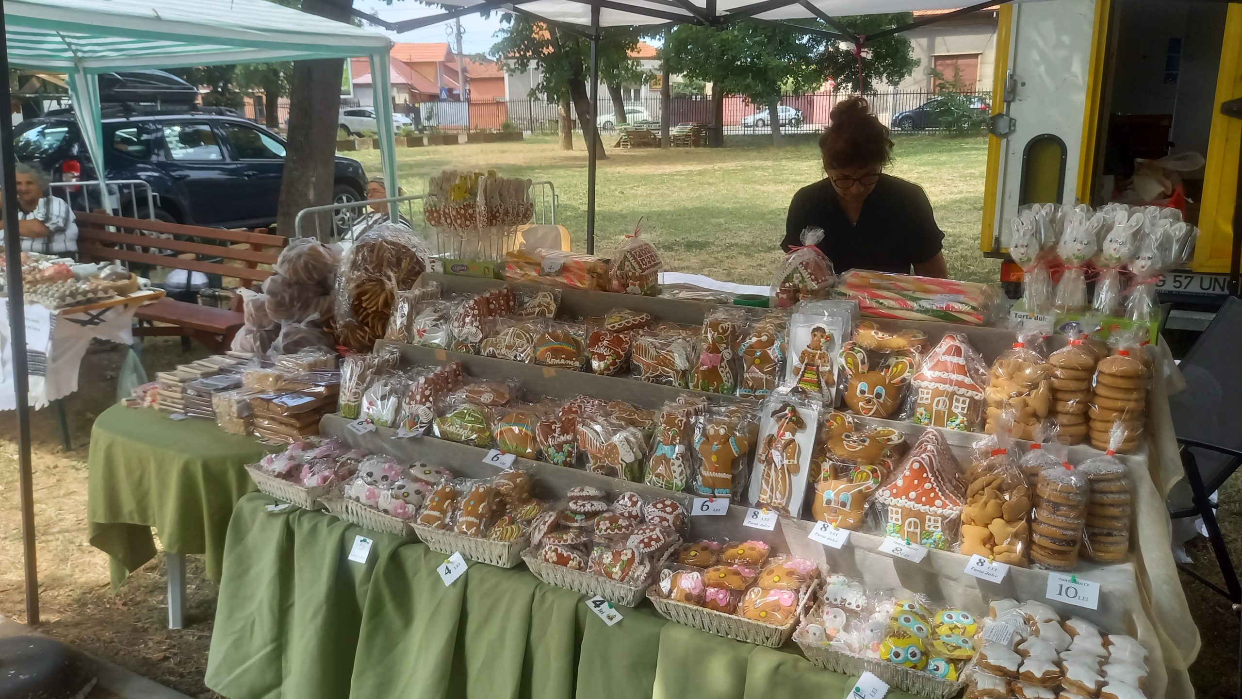 targul mesterilor populari oradea (27)