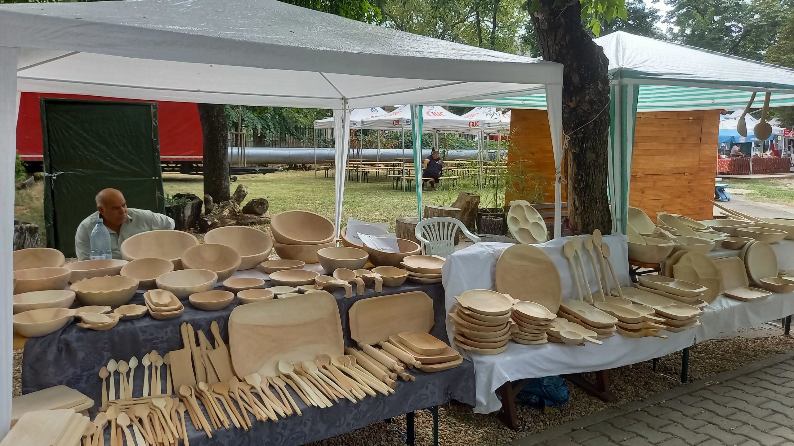 targul mesterilor populari oradea (47)