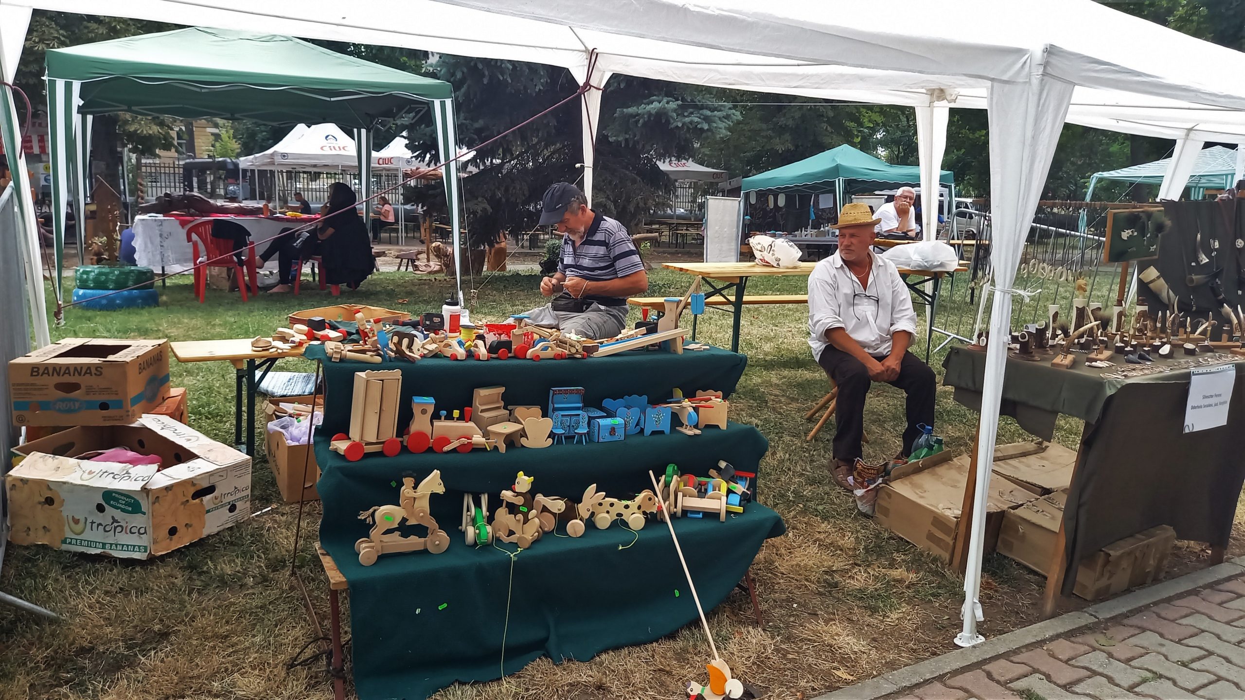 targul mesterilor populari oradea (60)