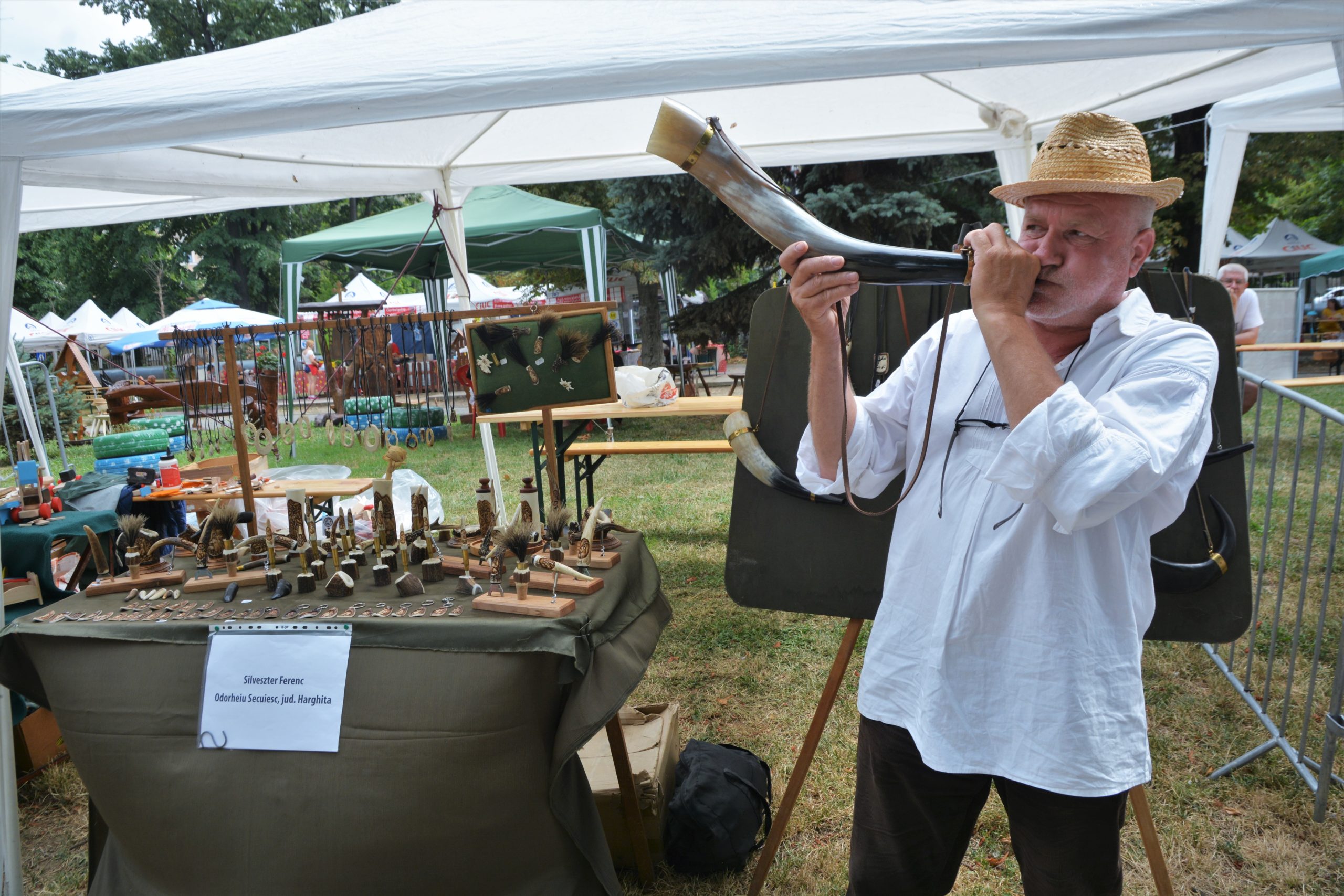 targul mesterilor populari oradea (166)
