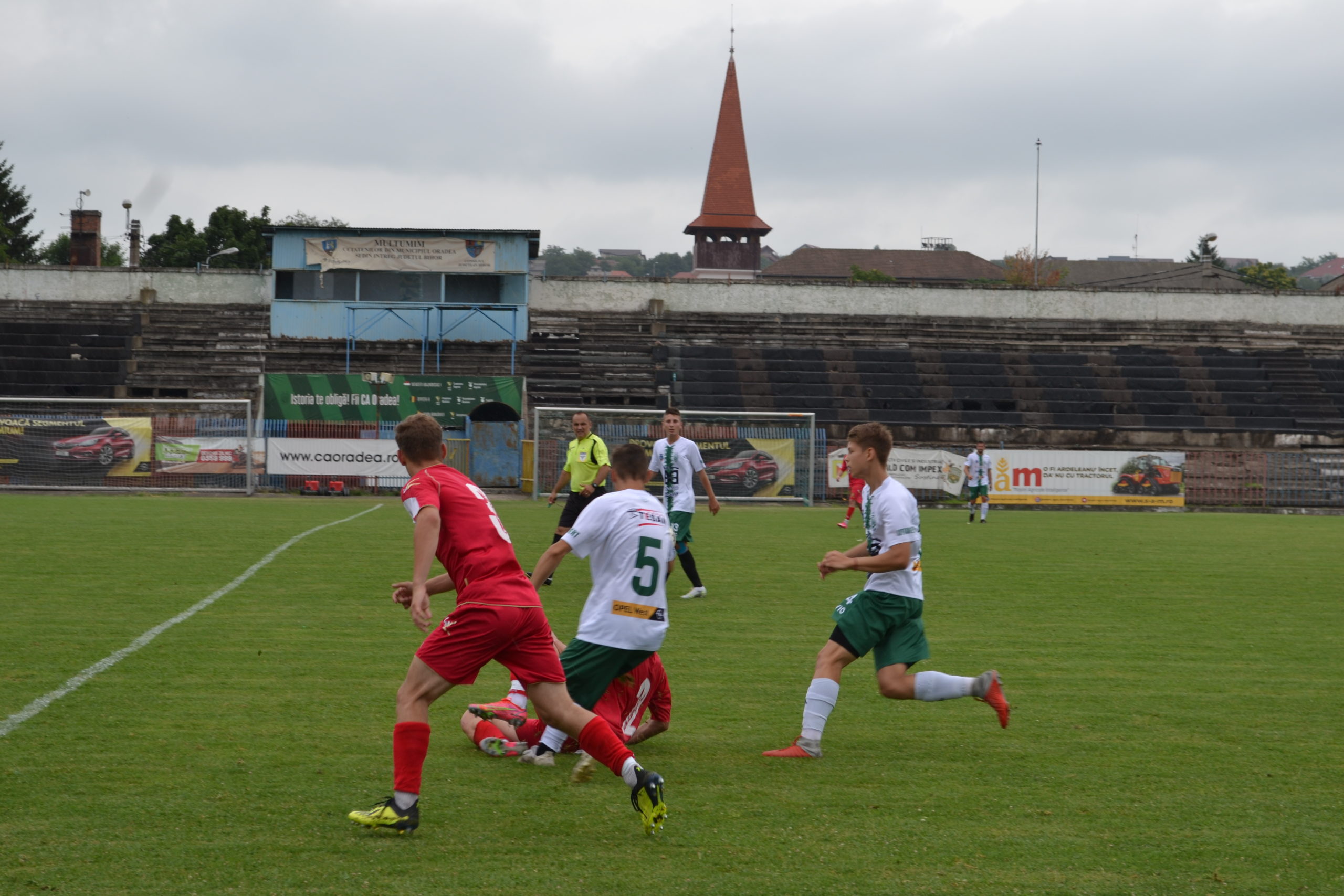 cao - gloria cernei (3)