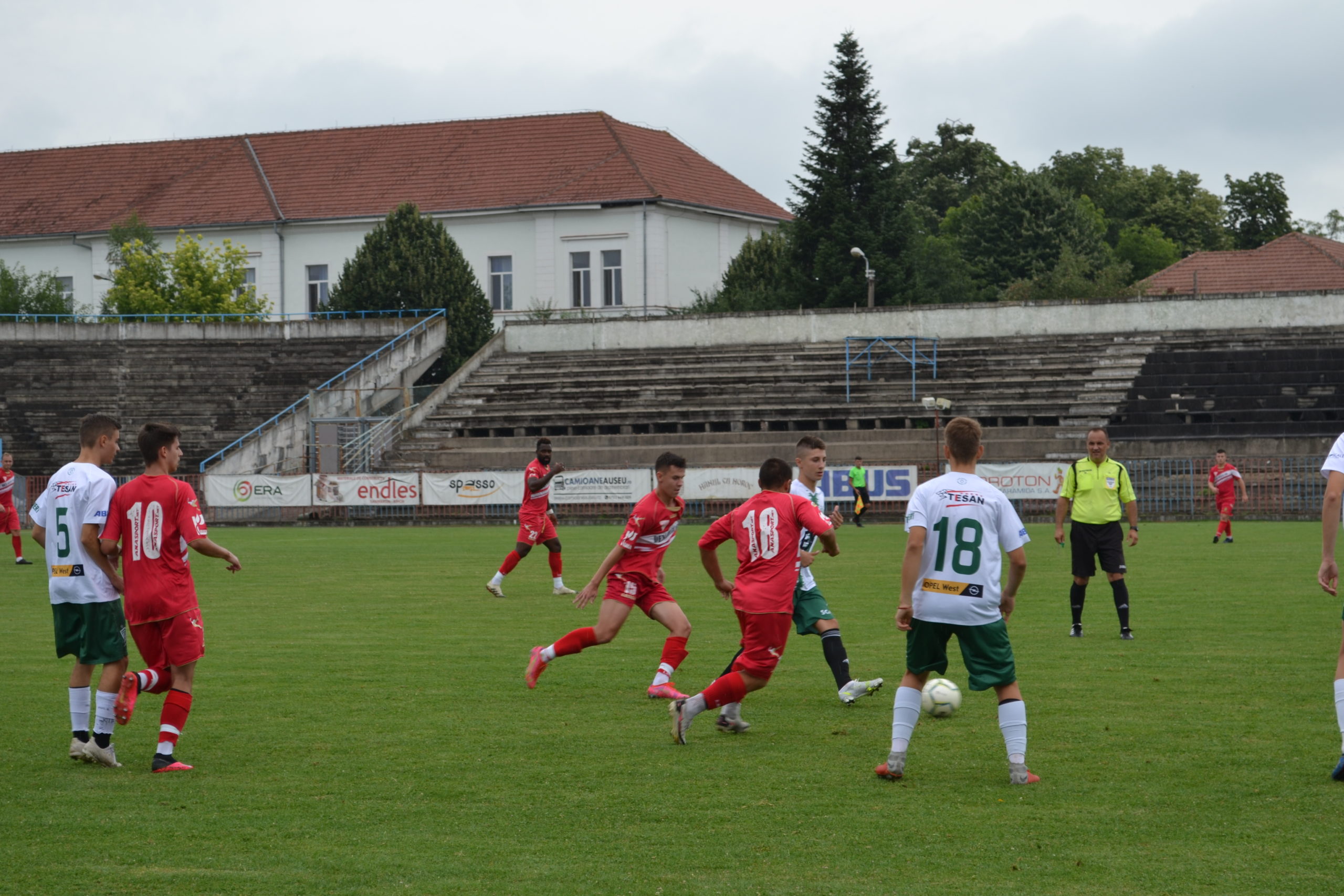 cao - gloria cernei (9)