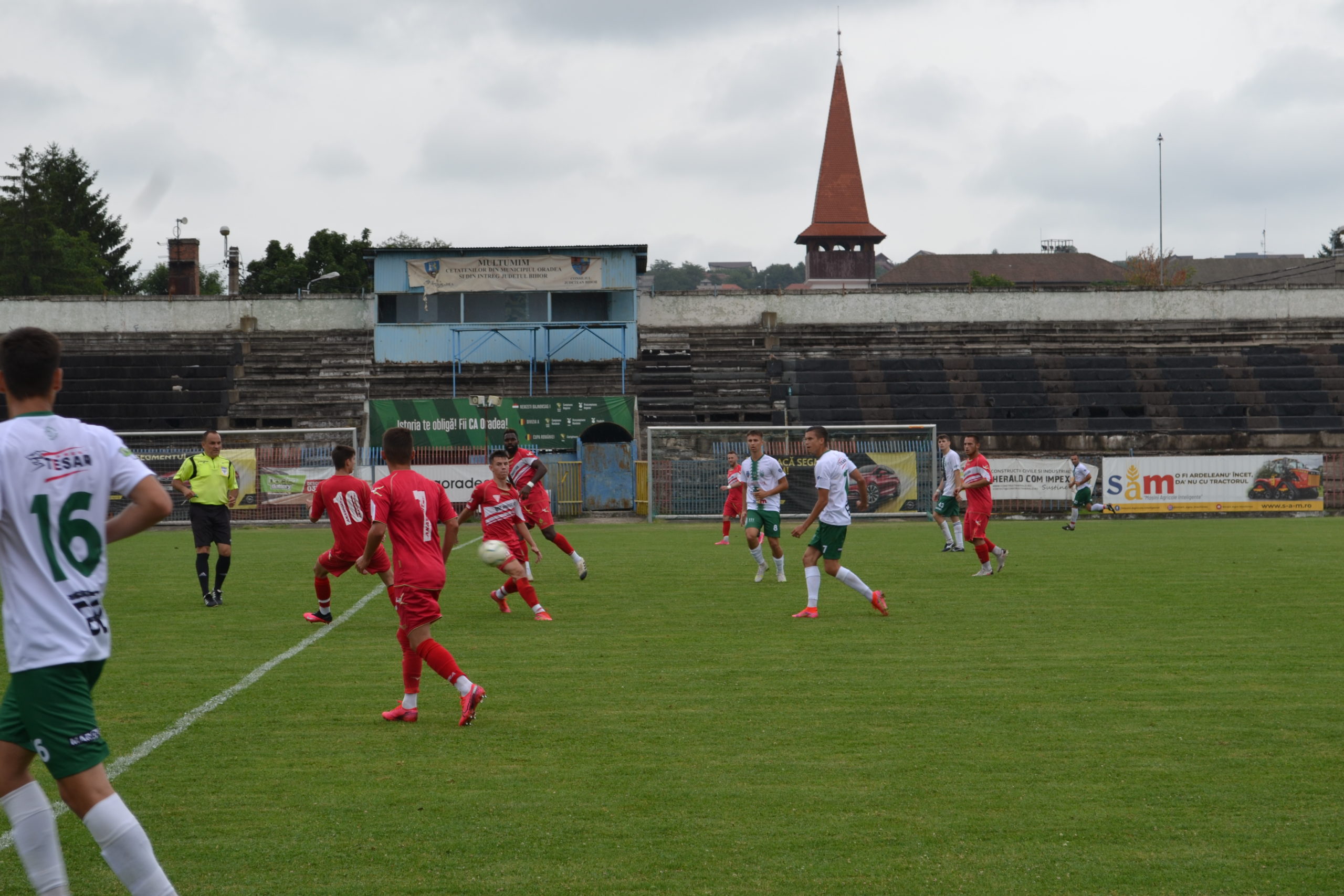 cao - gloria cernei (12)