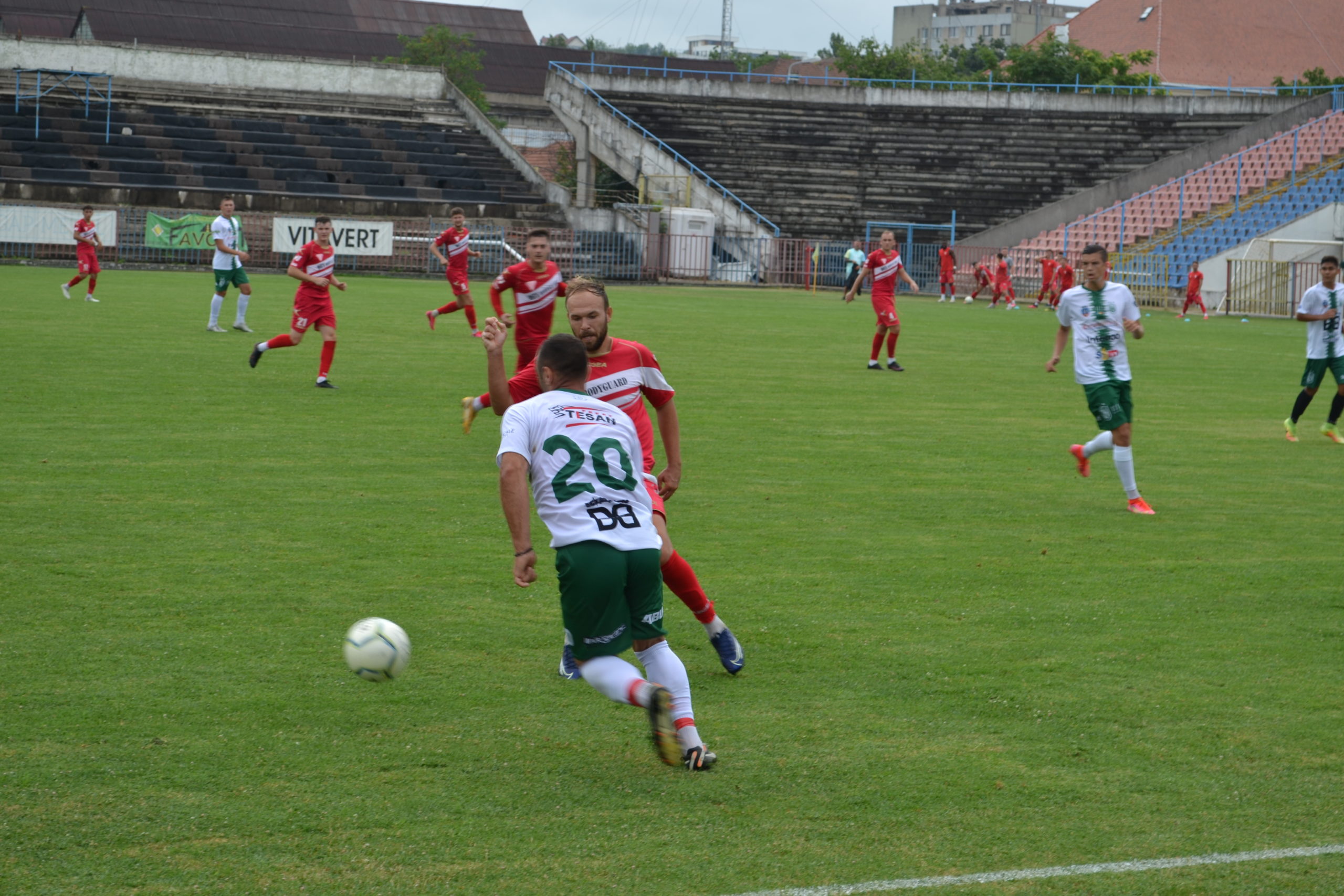 cao gloria cernei (1)