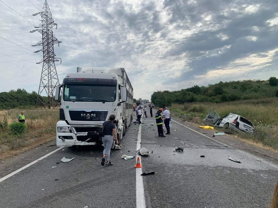 222483232_1712099218974635_834081618564481049_n