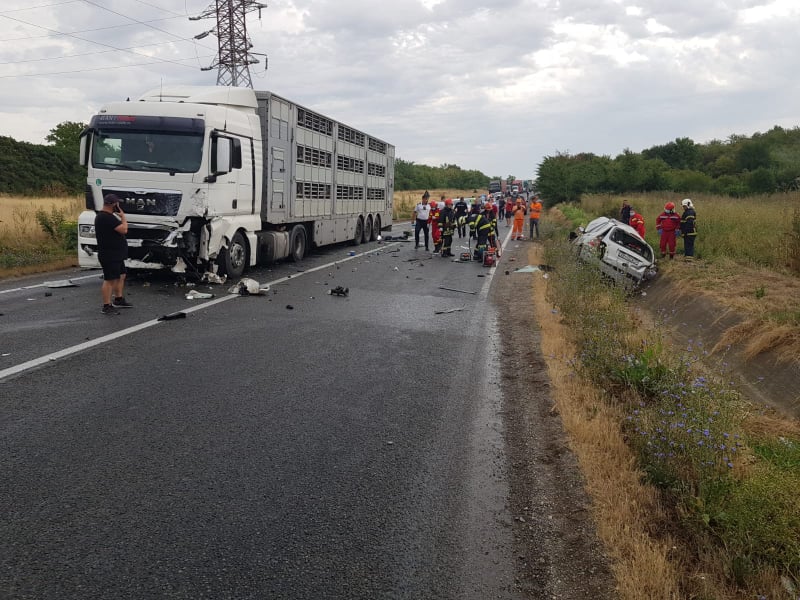 225807848_558605065306728_476470883101070926_n