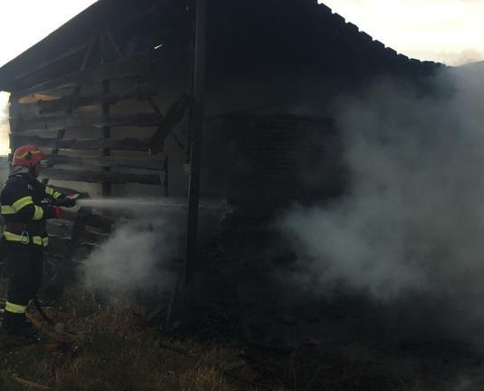 incendiu fabrica de mobila (8)