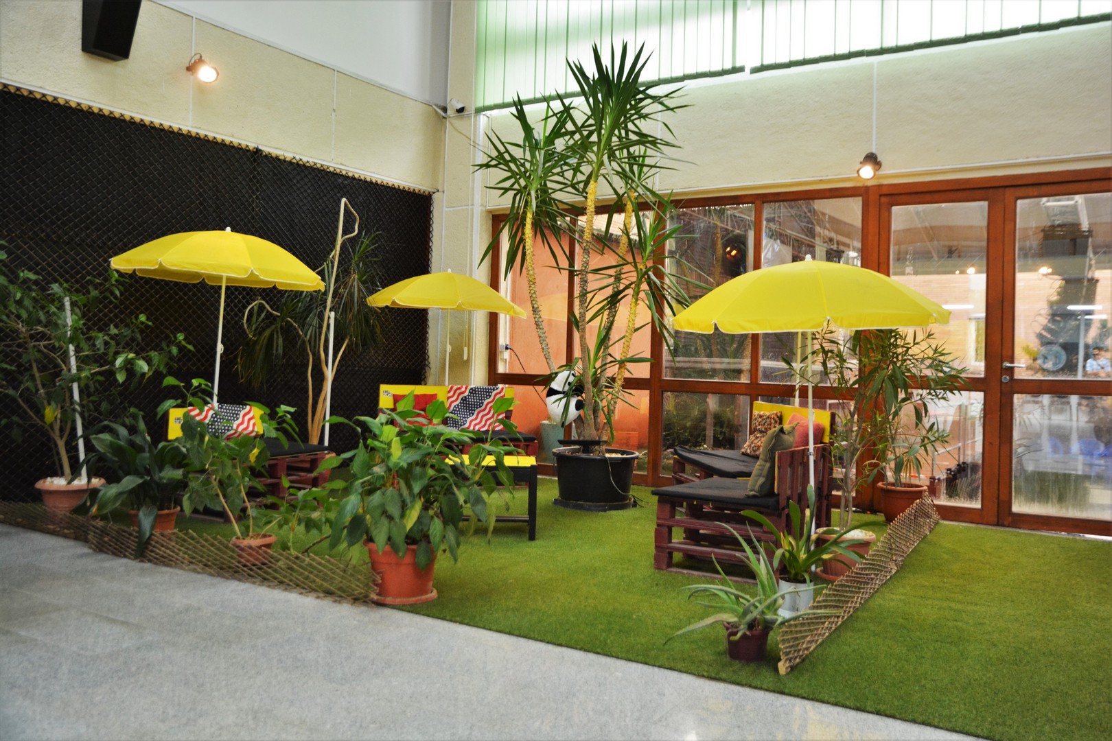 casa tineretului oradea (10)