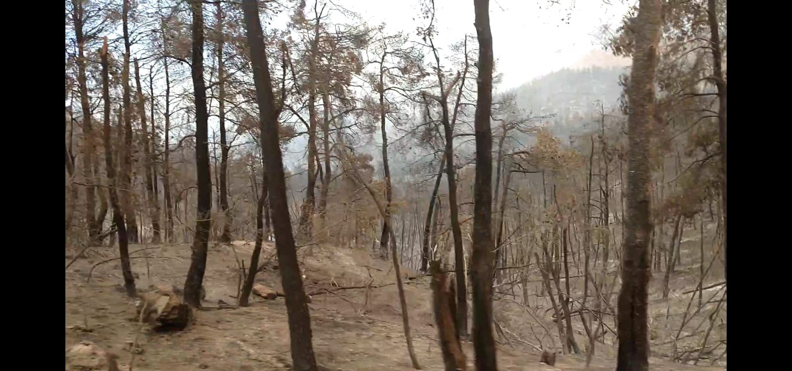 WhatsApp Image 2021-08-18 at 12.19.04 (1)