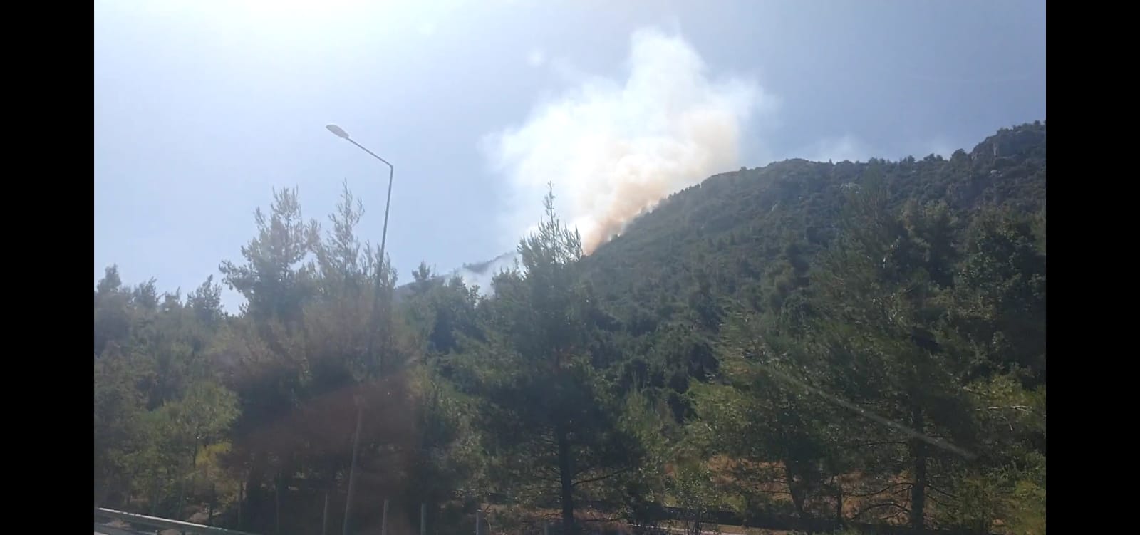 WhatsApp Image 2021-08-18 at 12.19.03 (2)