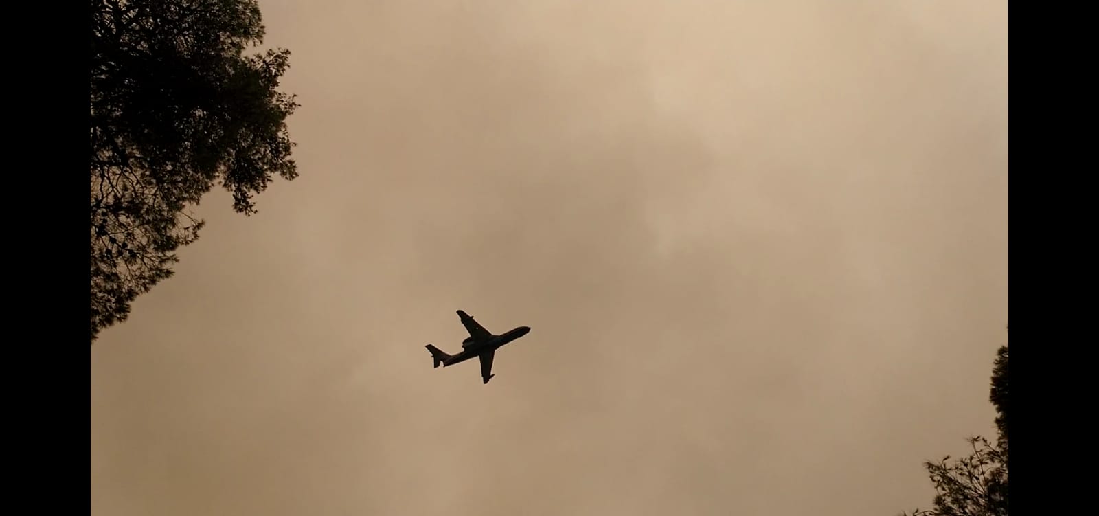 WhatsApp Image 2021-08-18 at 12.19.03 (1)