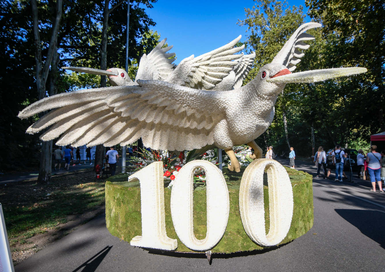 9449287DSC8433-scaled