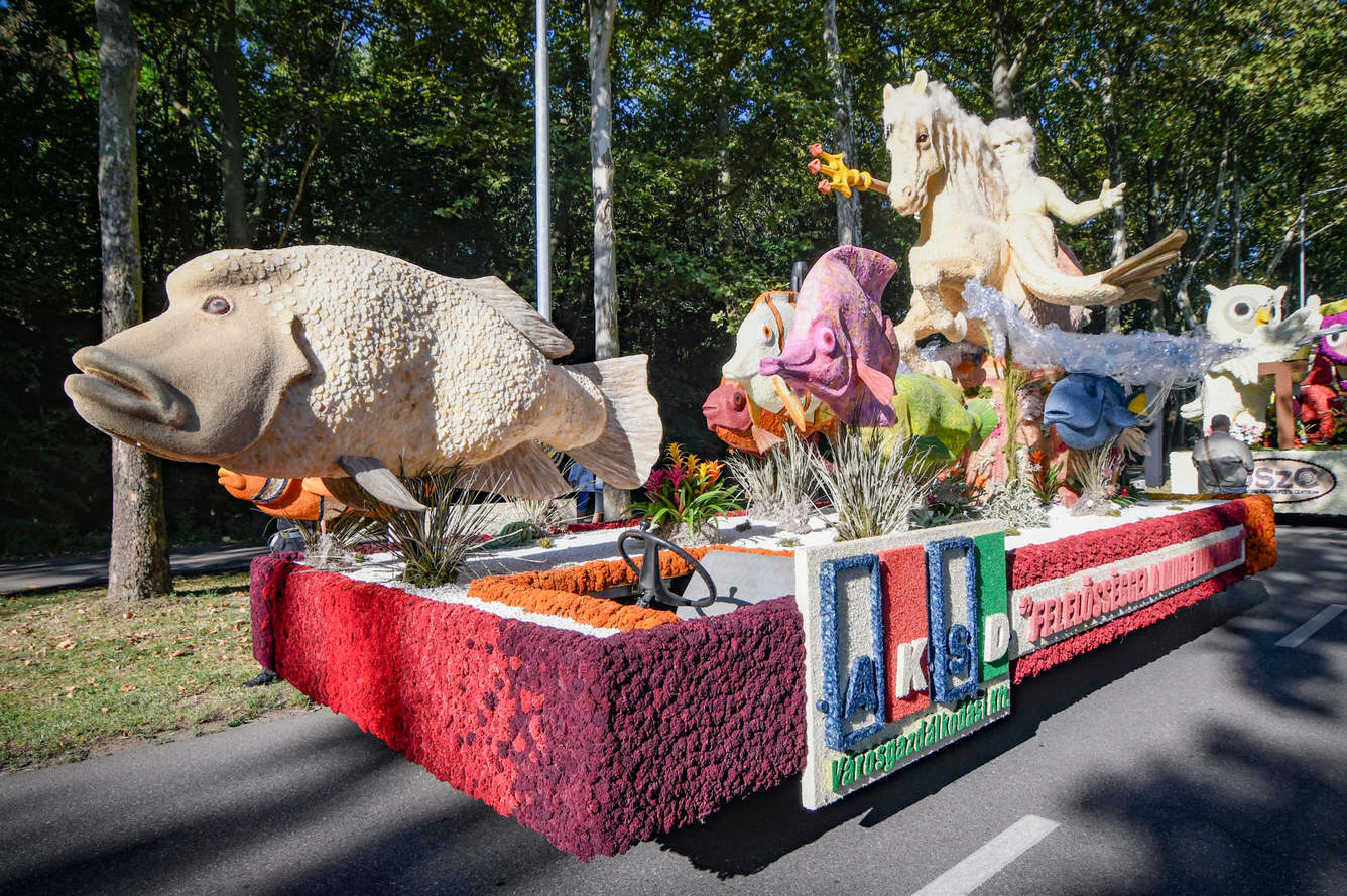 9449314DSC8452-scaled