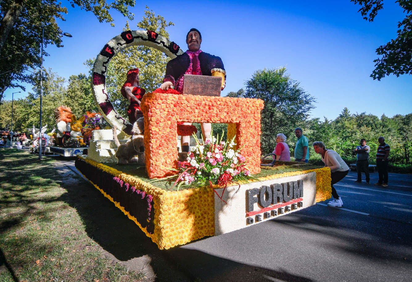 care alegorice oradea 3