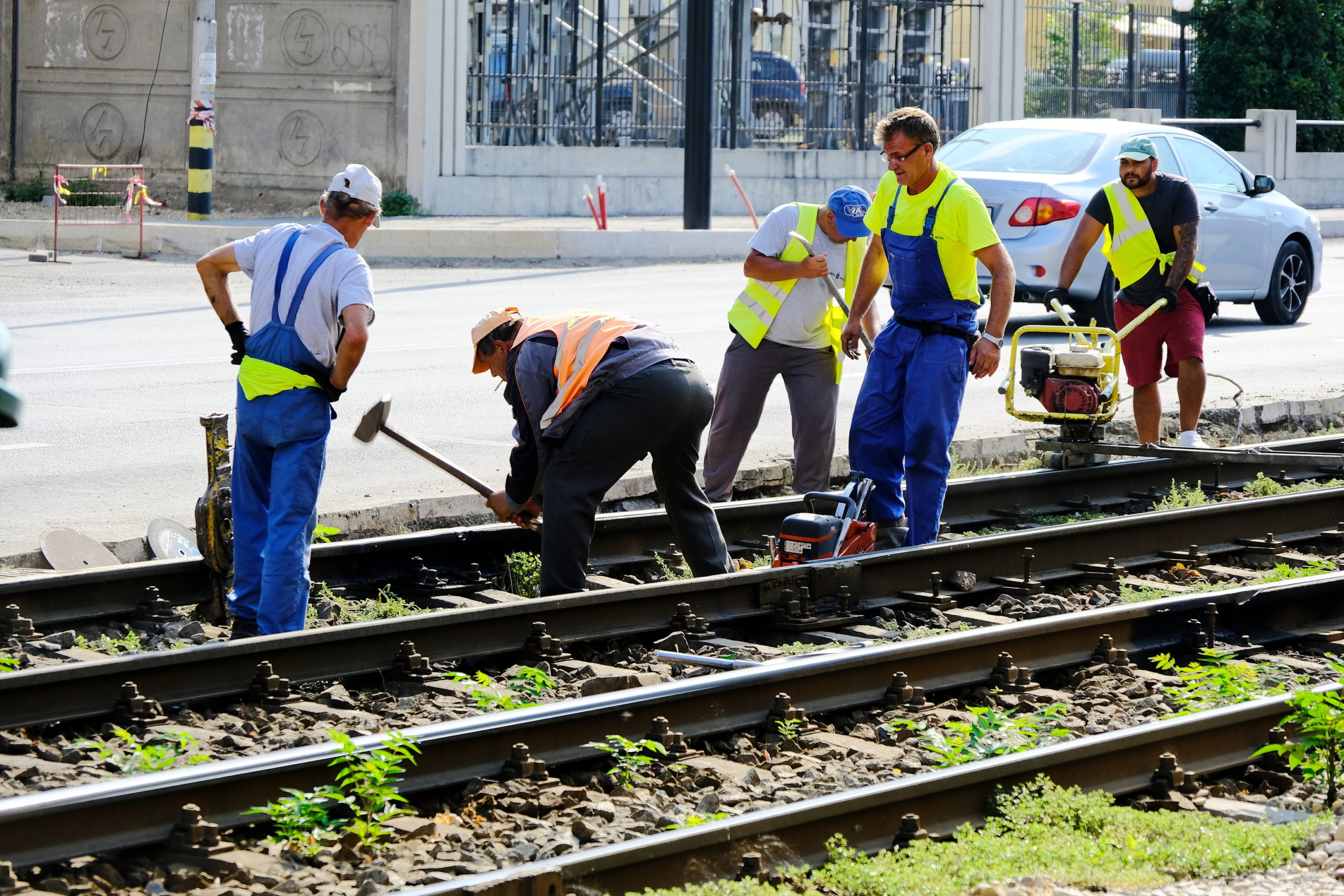 lucrari cantemir nufarul (3)