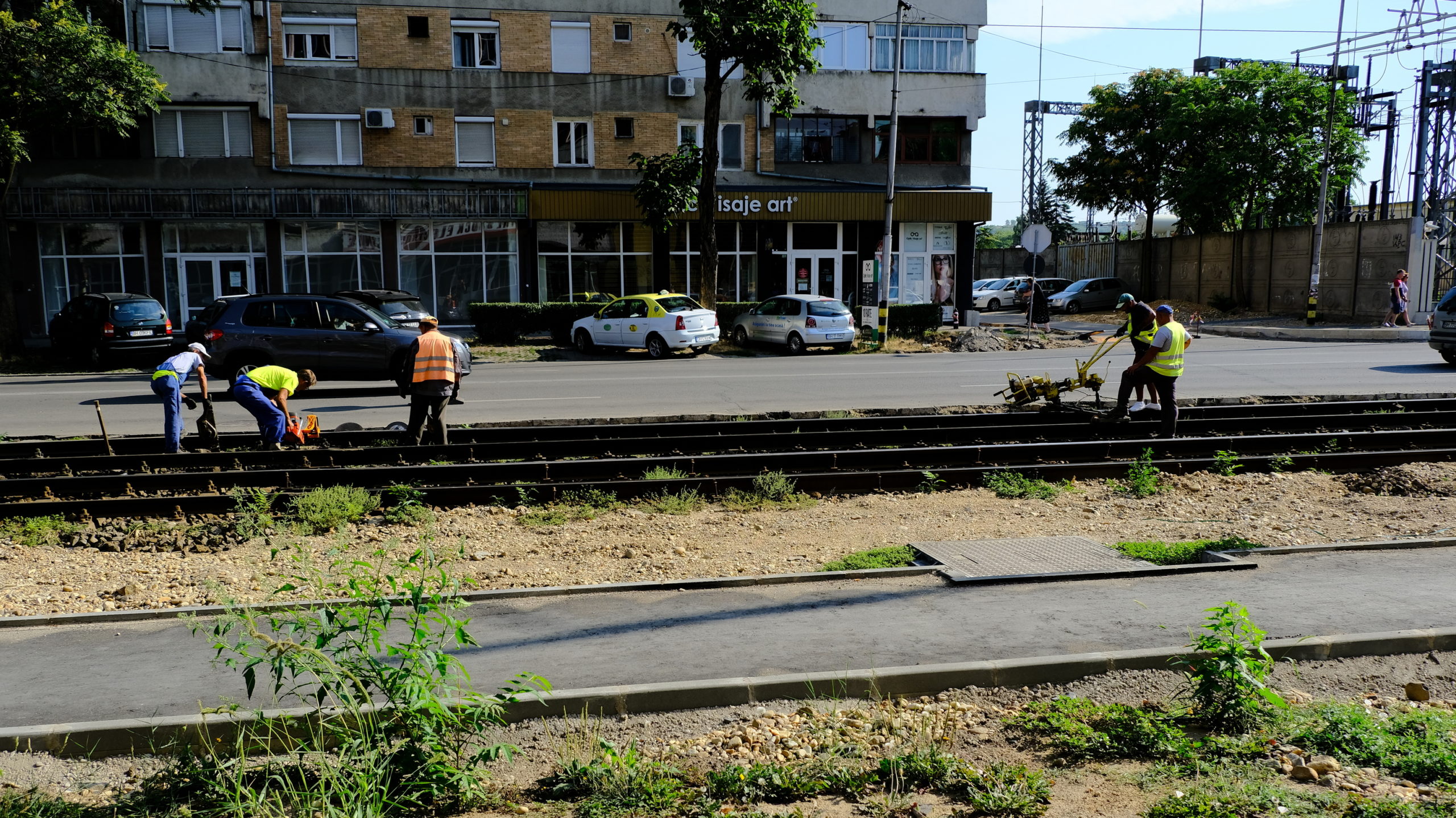 lucrari cantemir nufarul (5)