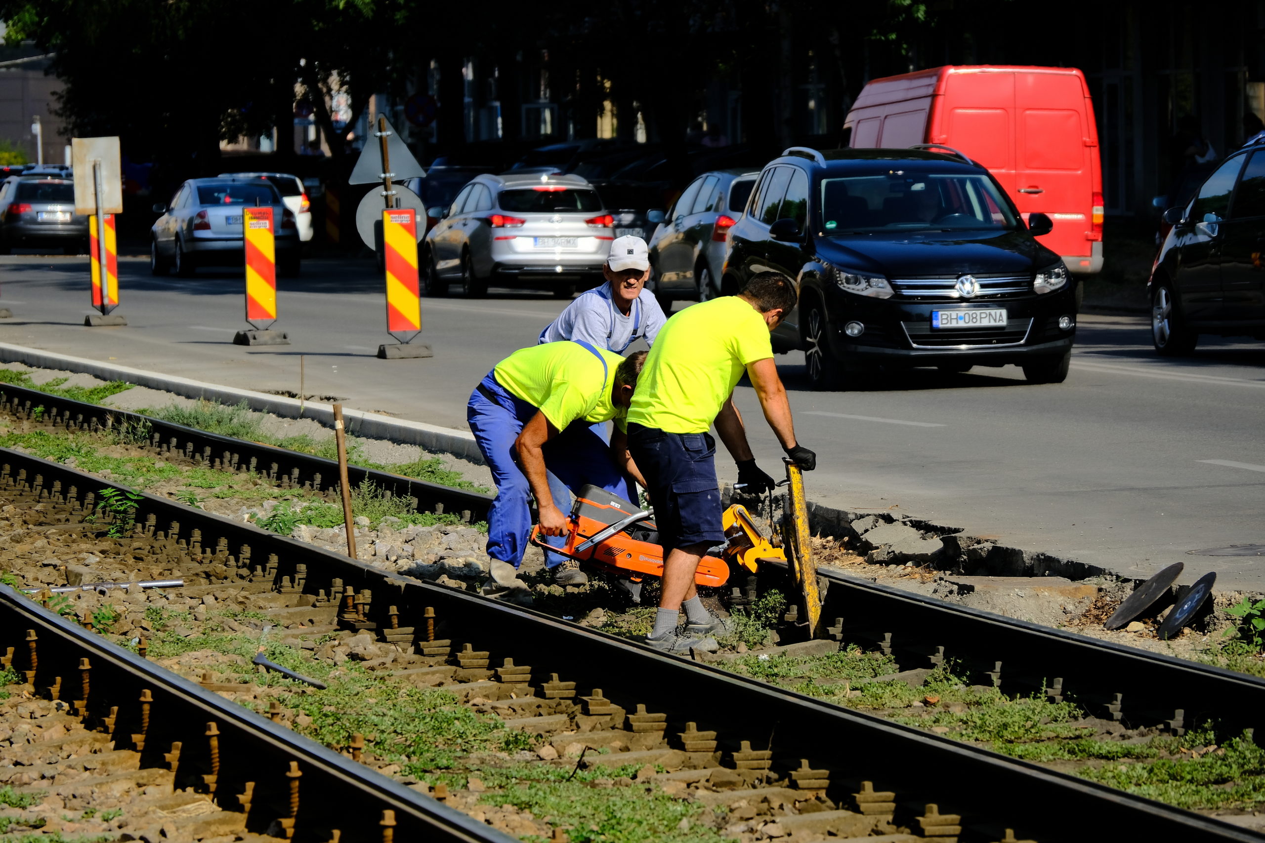 lucrari cantemir nufarul (9)