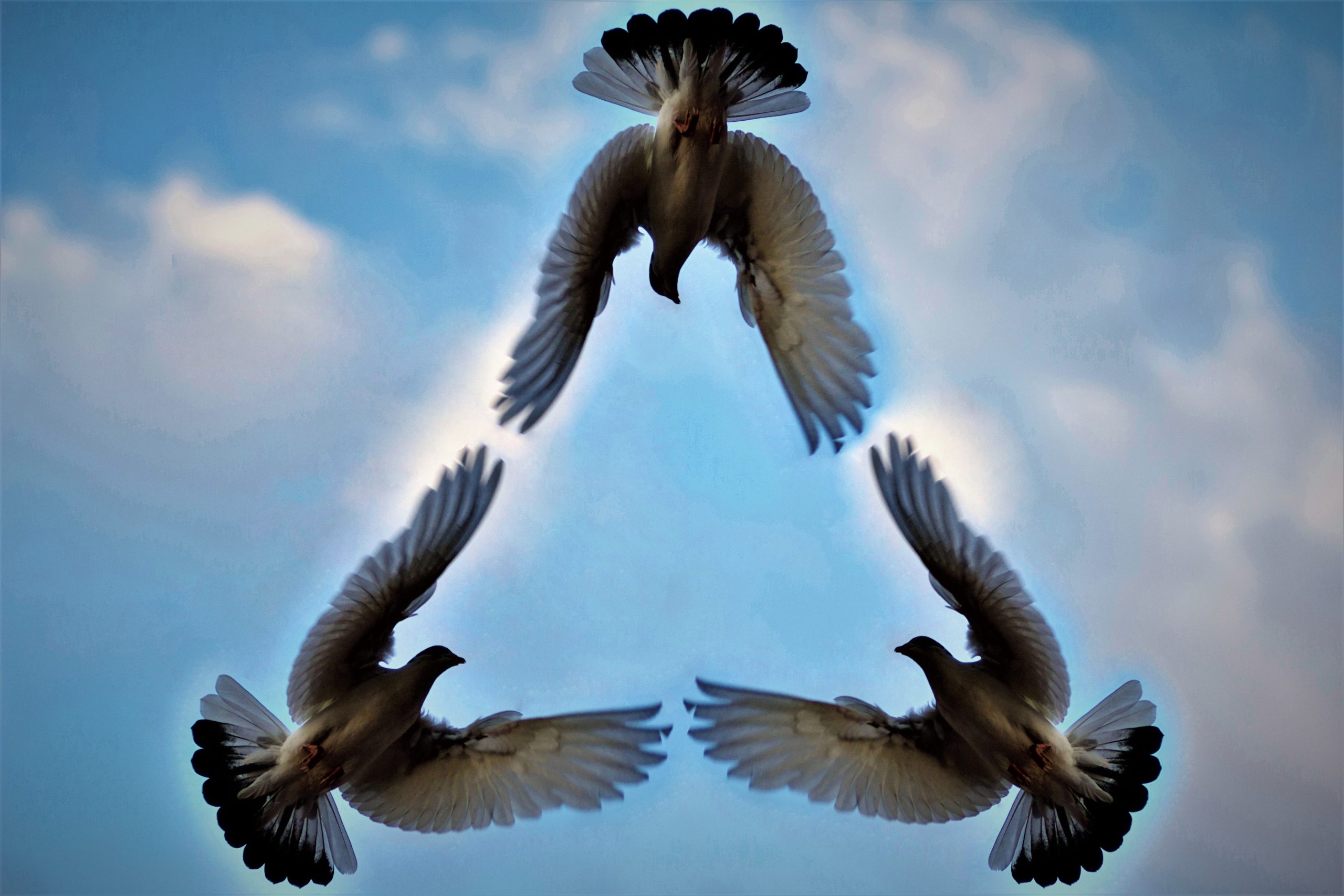 03-Buretia Alex-Dian - Hora Unirii 1