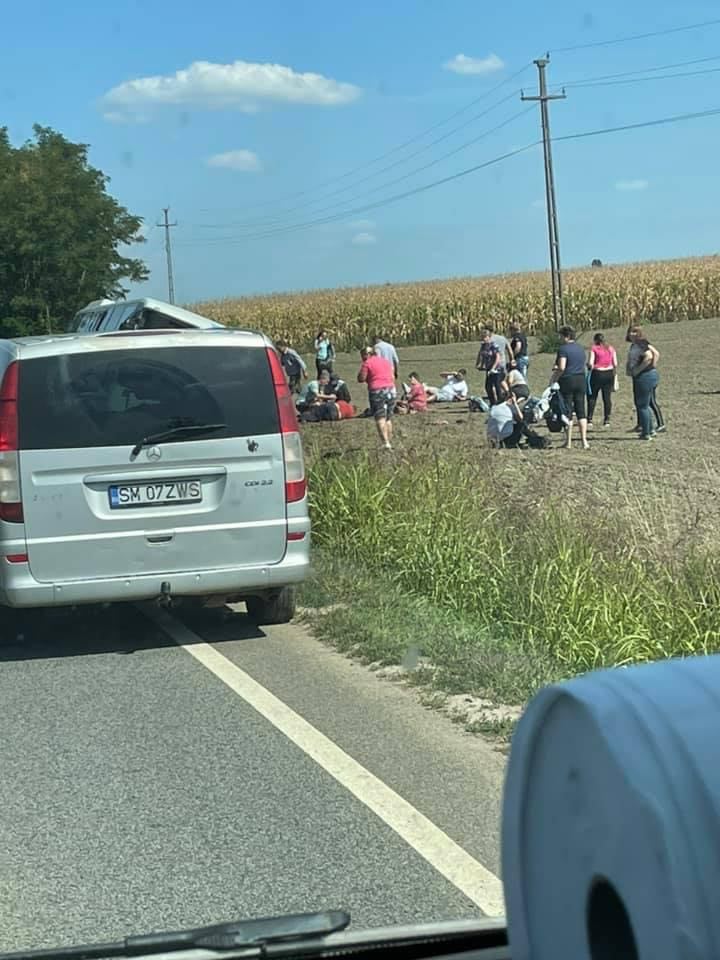 241410196_883981005876748_881586925506293030_n