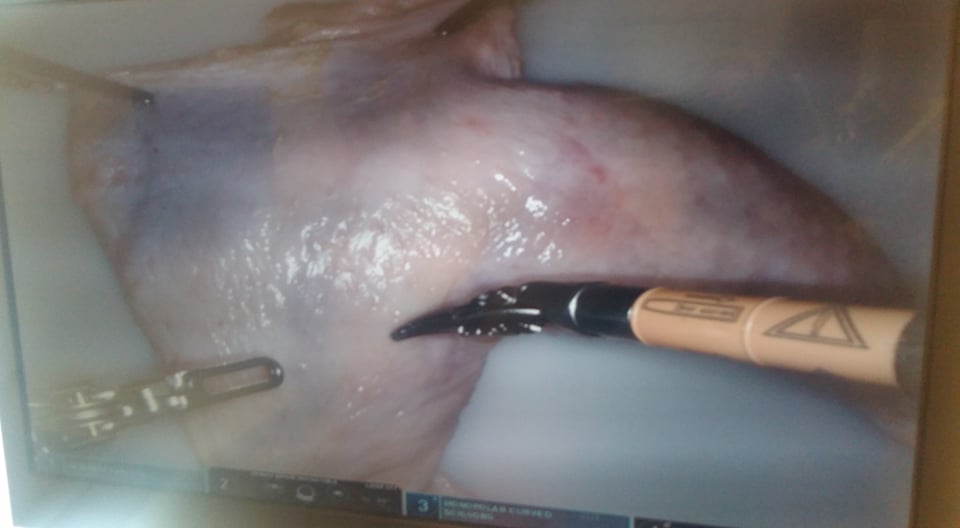 241745337_2660556524238151_4242920266829768121_n