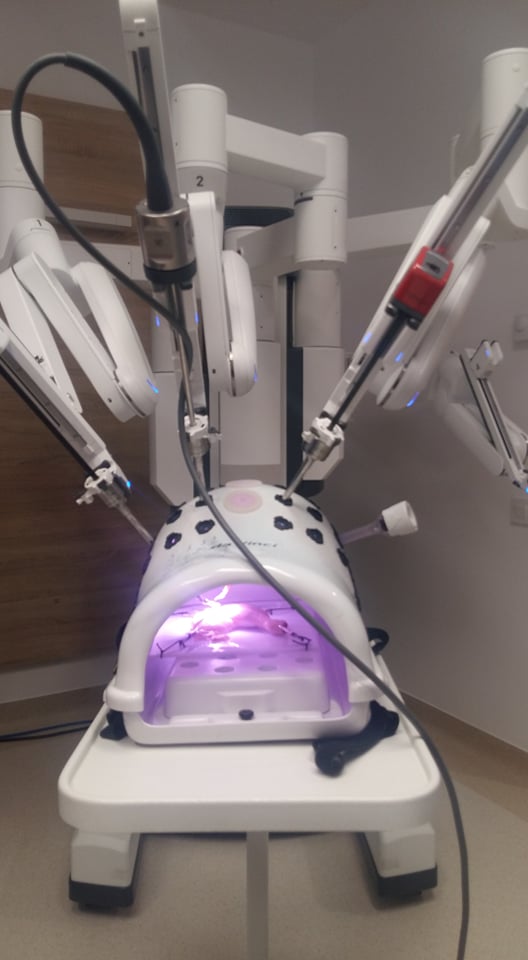 241758429_578244486554804_8952197950313651312_n