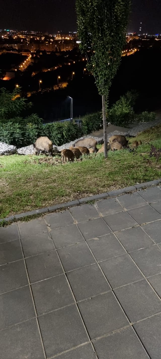 242129289_2240938962730079_6781094849343013099_n