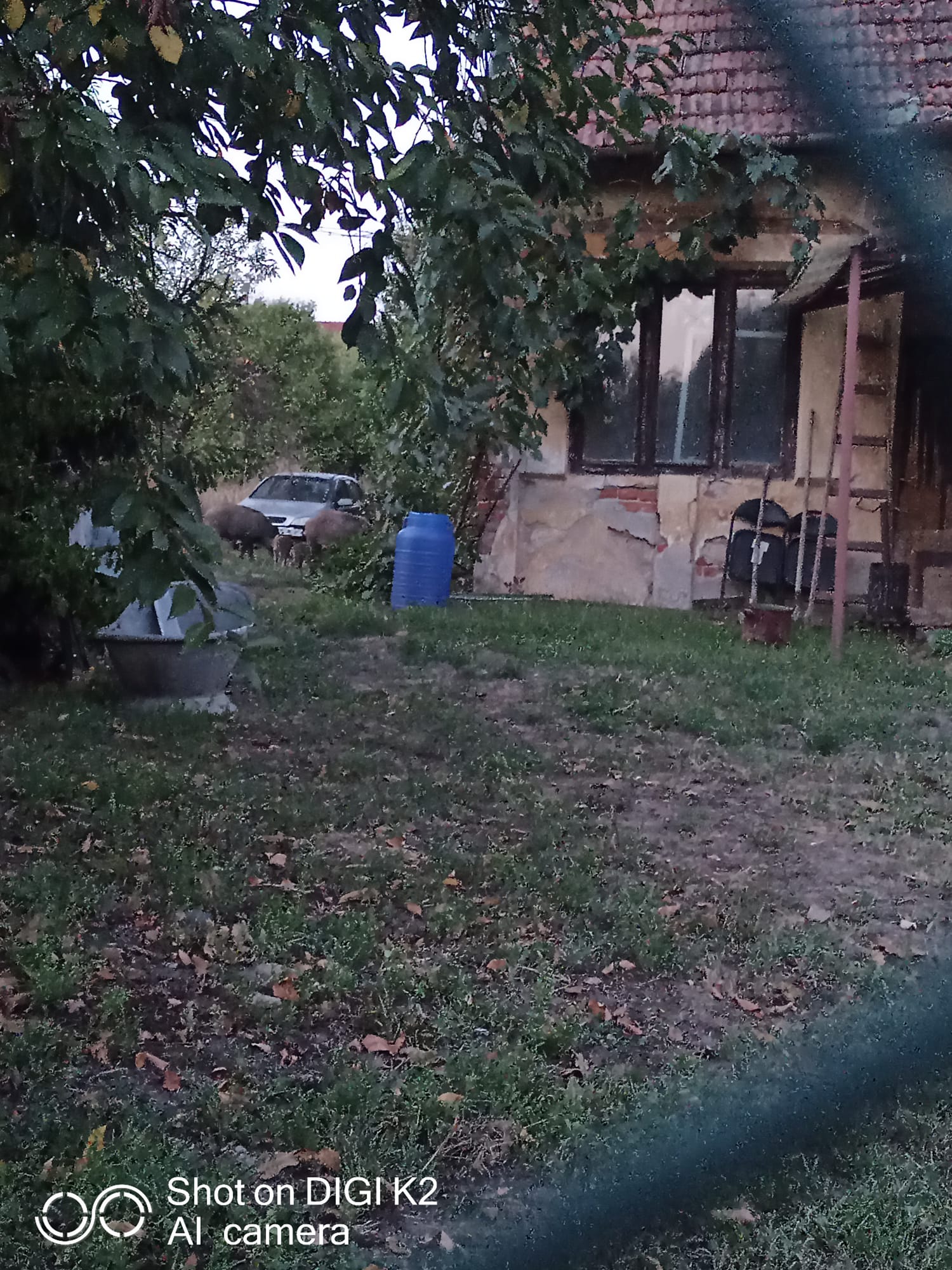 WhatsApp Image 2021-09-16 at 12.26.28 (1)