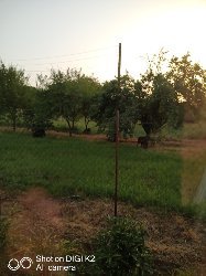 WhatsApp Image 2021-09-16 at 12.26.29