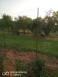 WhatsApp Image 2021-09-16 at 12.26.47