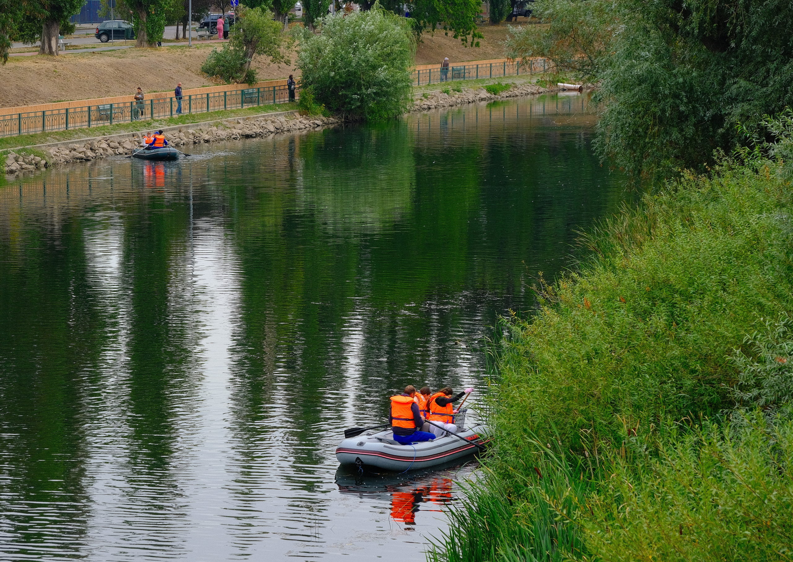 igienizare crisul repede oradea (2)