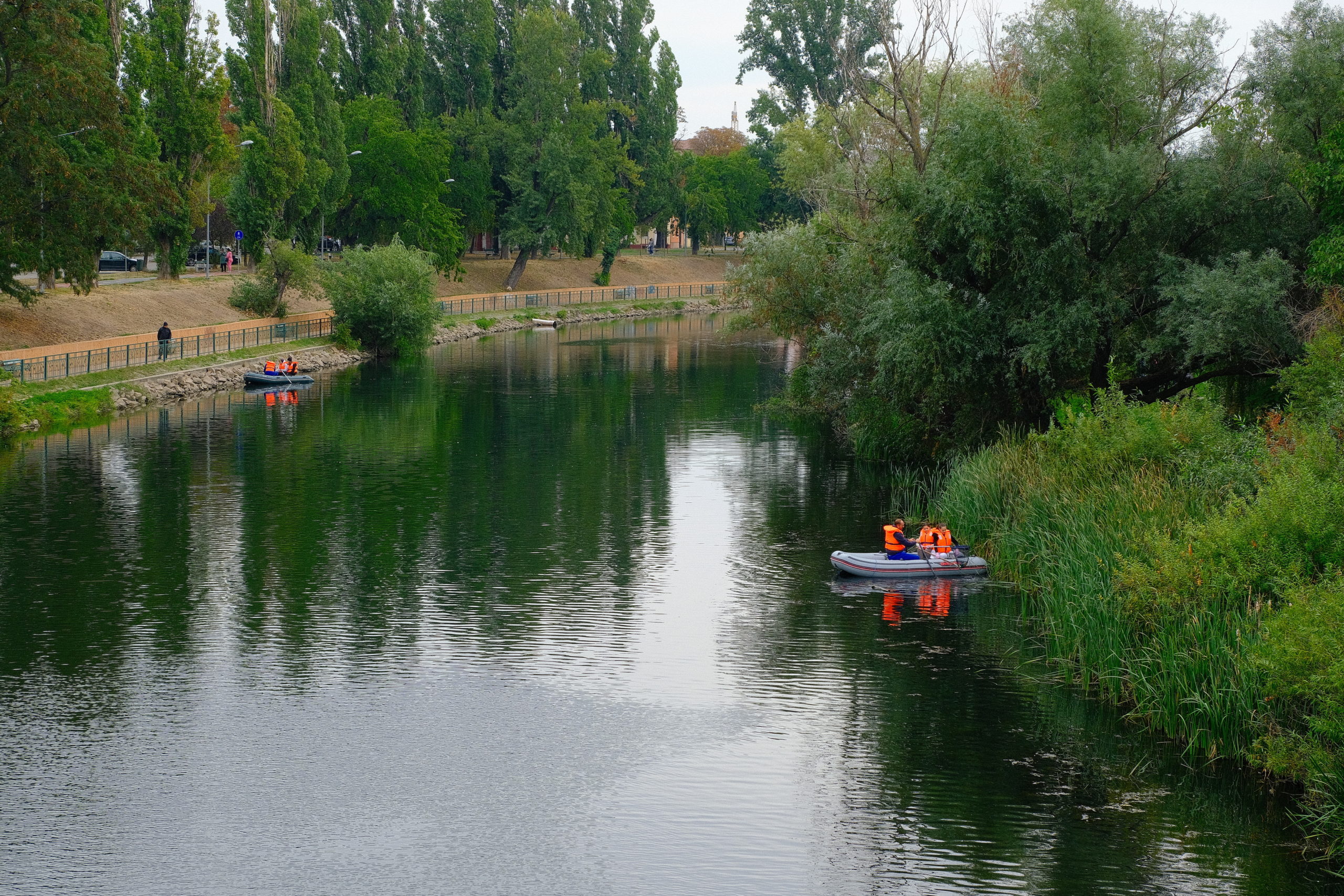 igienizare crisul repede oradea (4)